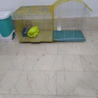 قفس بزرگ سالم سالم