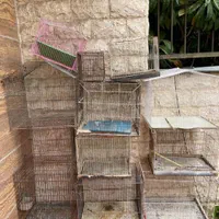 قفس پرنده