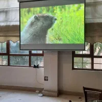 اجاره ویدئو پروژکتور با کیفیت عالی|خدمات پذیرایی، مراسم|تبریز, |دیوار