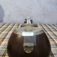 تار حرفه ای|سازهای سنتی|همدان, |دیوار