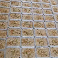 تولیدی محصولات کنجدی،ارده،حلواشکری و|خوردنی و آشامیدنی|اردکان, |دیوار