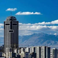 کارشناس خرید و‌تدارکات