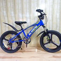 دوچرخه آکبنددرتمام سایزها12تا 26 دخترانه و پسرانه|دوچرخه، اسکیت، اسکوتر|بندرعباس, |دیوار