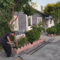 نیرو خدماتی نمایشگاه با ضامن معتبر