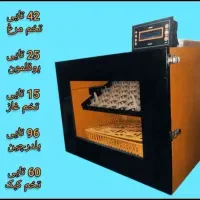 تولید کننده دستگاه های جوجه کشی هوشمند صاعقه|لوازم جانبی حیوانات|مشهد, رسالت|دیوار