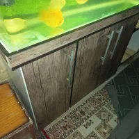 اکواریوم و ماهی