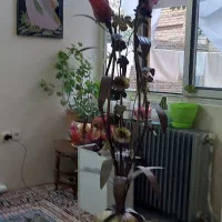 اباژور وچراغ خواب