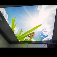 اجرای انواع سقف کاذب|خدمات پیشه و مهارت|شهرکرد, |دیوار