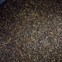 کنجد درجه یک|خوردنی و آشامیدنی|دره شهر, |دیوار