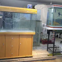 آکواریوم های کوچکتر از ۱ متر یا حدود ۱ متر متنوع|ماهی|قم, سراجه (۱۵ خرداد)|دیوار