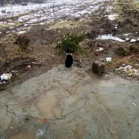 زمین مسکونی