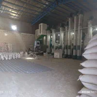 برنج عنبربو(اَلوان)|خوردنی و آشامیدنی|کوهدشت, |دیوار