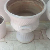 تعدادی گلدان