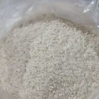 فقط لاشه هاشمی ما رو تجربه کنید