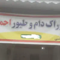 جذب نیروی آقا