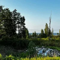 کد-3930-فروش-زمین-ساحلی-در-کاج-باغ-بندر