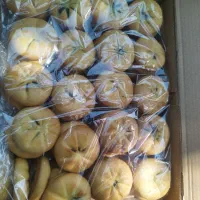 نیازمند سرمایه گذار|فعالیت داوطلبانه|ماهدشت, |دیوار