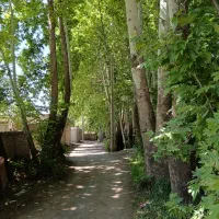 زمین-طرح-هادی-مسکونی-سندششدانگ-فوشنجان-گنج-قارون