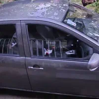 ماشین راین v5