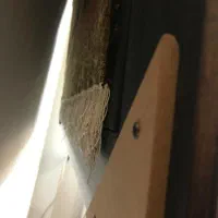 تابلو فرش ابریشم طرح طبیعت|تابلو فرش|شیراز, قدوسی شرقی|دیوار