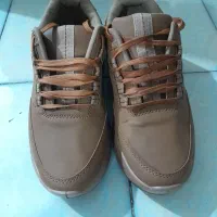 کفش شیما نو سایز ۴۰