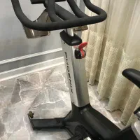 دو چرخه فونیکس باشگاهی