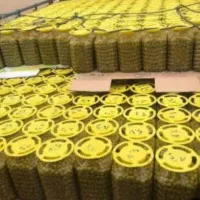 زیتون هسته دار و بدون هسته ویژه و سوپر ویژه