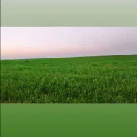 اجاره 18 هکتار
