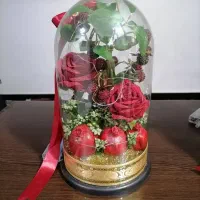 گل خا کریستالی مخصوص شب یلدا|گل مصنوعی|گلستان (تهران), |دیوار