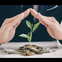 نیازمند سرمایه