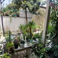 اجاره خانه ویلایی ۱۱۰ متری ۲ واحدی|اجارهٔ خانه و ویلا|ساری, |دیوار