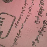 آر‌دجوانه گندم