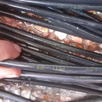 کابل مخابراتی|مودم و تجهیزات شبکه|ساری, |دیوار