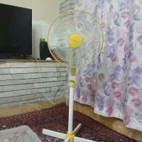 پنکه