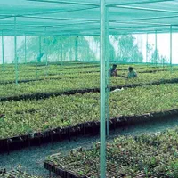 اجرای انواع گلخانه|عمده‌فروشی|شیراز, فرهنگ شهر|دیوار