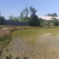 28-هزار-متر-زمین-کشاورزی-با-خانه-مسکونی-رشت