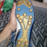 کفش|کیف، کفش، کمربند|رضویه, |دیوار