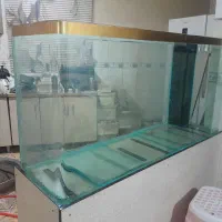 آکواریوم شیشه خم شرکتی آب شور و شیرین