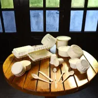 ظرفـ یـکبار مصـرف|ظروف نگهدارنده، پلاستیکی، یک‌بارمصرف|لاهیجان, کوی خزر|دیوار