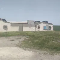 مرغداری ۲۶ هزار قطعه گوشتی