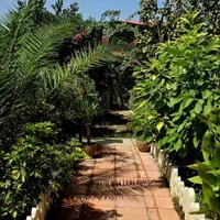 فروش باغ ویلا|فروش خانه و ویلا|لیسار, |دیوار