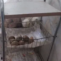 وسایل بچه وظرف آشپز خانه