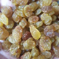 کشمش درجه اعلا در بسته بندی ۸ونیم کیلویی