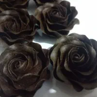 فروش گلهای خام حنایی