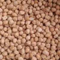 نخوددرشت یکدست بسیارخوب برای بذر