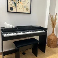 پیانو دیجیتال korg liano l1