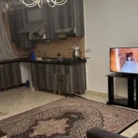 نیرو خانم نظافت منزل