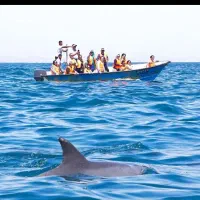 گشت جزیره قشم