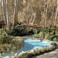 شاطر ماهر رستوران (تافتون)