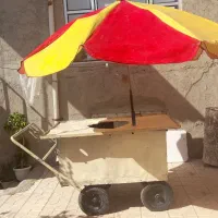 فروش چرخ پاخلا به دلایل نیاز پزشکی